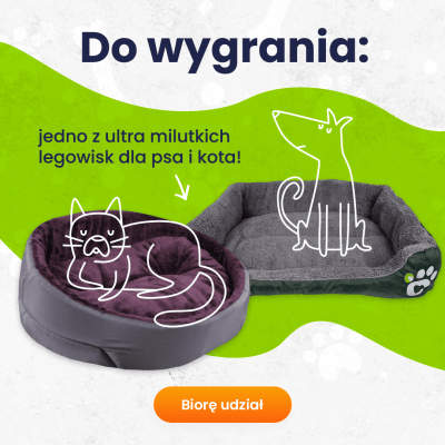 Wygraj legowisko dla swojego pupila biorąc udział w konkursie lajt mobile!